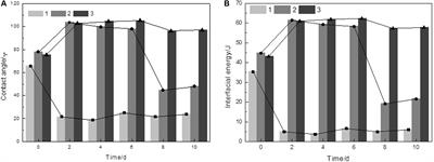 Arsenopyrite Bio-Oxidization Behavior in Bioleaching Process: Evidence From Laser Microscopy, SEM-EDS, and XPS